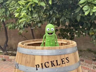 Monty Pickle Puppet in a barrel